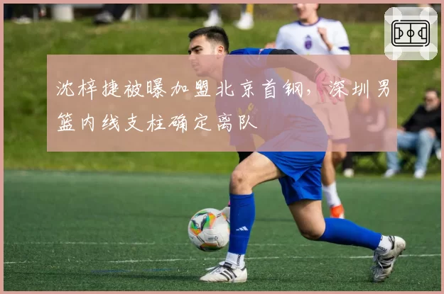 沈梓捷被曝加盟北京首钢,深圳男篮内线支柱确定离队