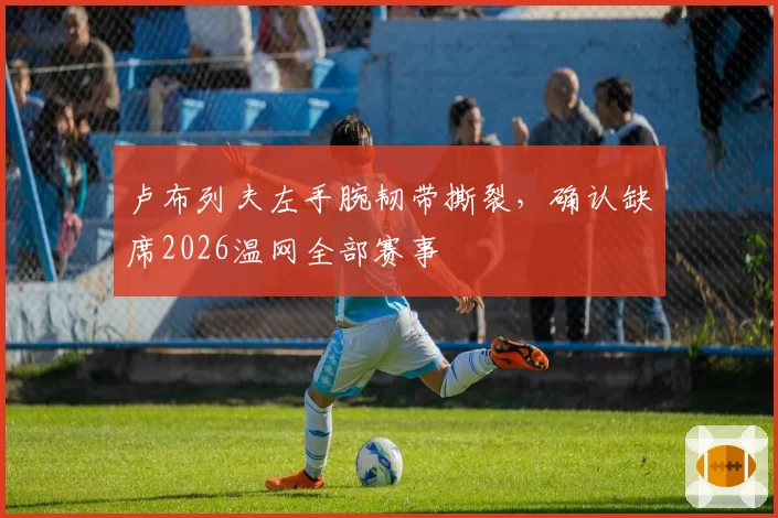卢布列夫左手腕韧带撕裂，确认缺席2026温网全部赛事