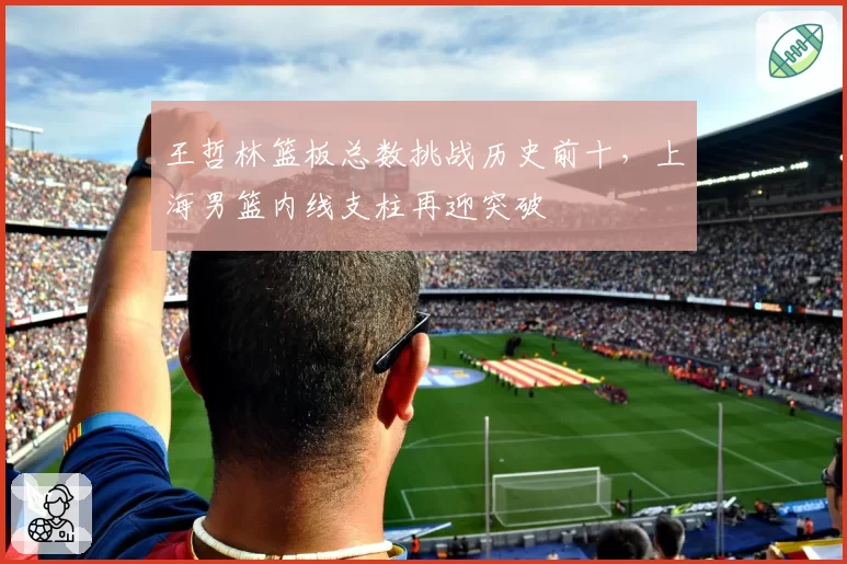 王哲林篮板总数挑战历史前十，上海男篮内线支柱再迎突破