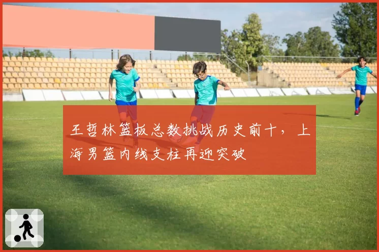 王哲林篮板总数挑战历史前十，上海男篮内线支柱再迎突破