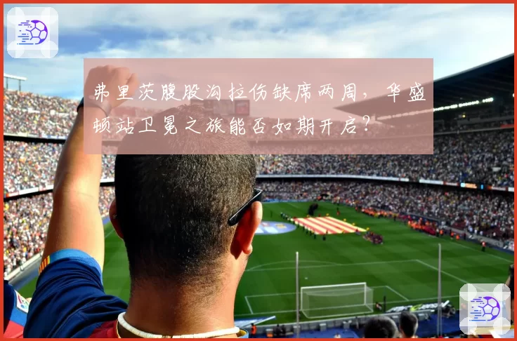 弗里茨腹股沟拉伤缺席两周，华盛顿站卫冕之旅能否如期开启？