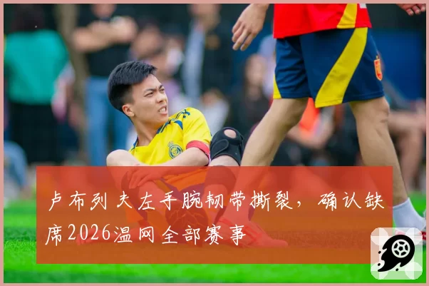 卢布列夫左手腕韧带撕裂，确认缺席2026温网全部赛事